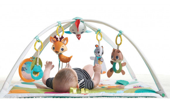 Tiny Love Into The Forest Gymini Deluxe