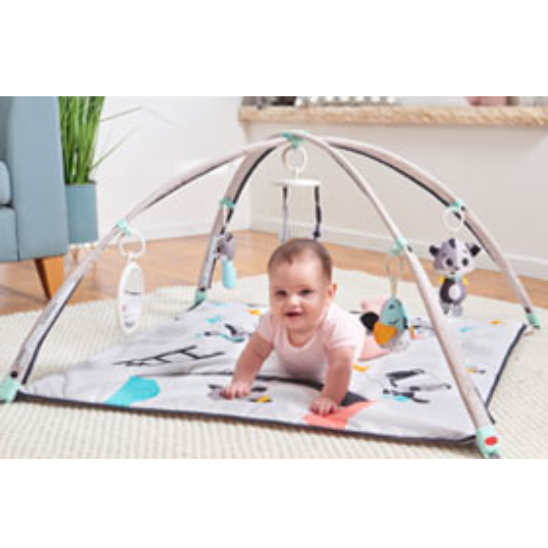 Tiny Love Deluxe 6-in-1 Here I Grow Activity Play Yard