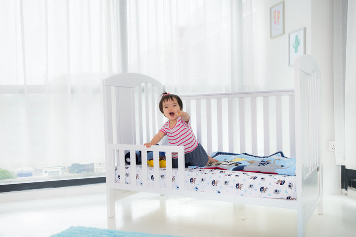 [Jarrons & Co.] Happy Cot Happy Dream 4 in 1 Convertible Baby Cot [Display Set]