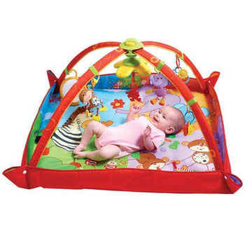 Tiny Love Move And Play Activity Gym